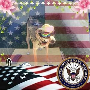 Meet your Posher, Frank